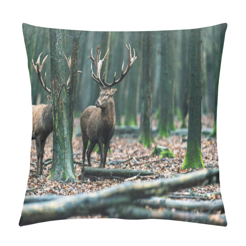 Personality  Deer In Deciduous Forest Pillow Covers