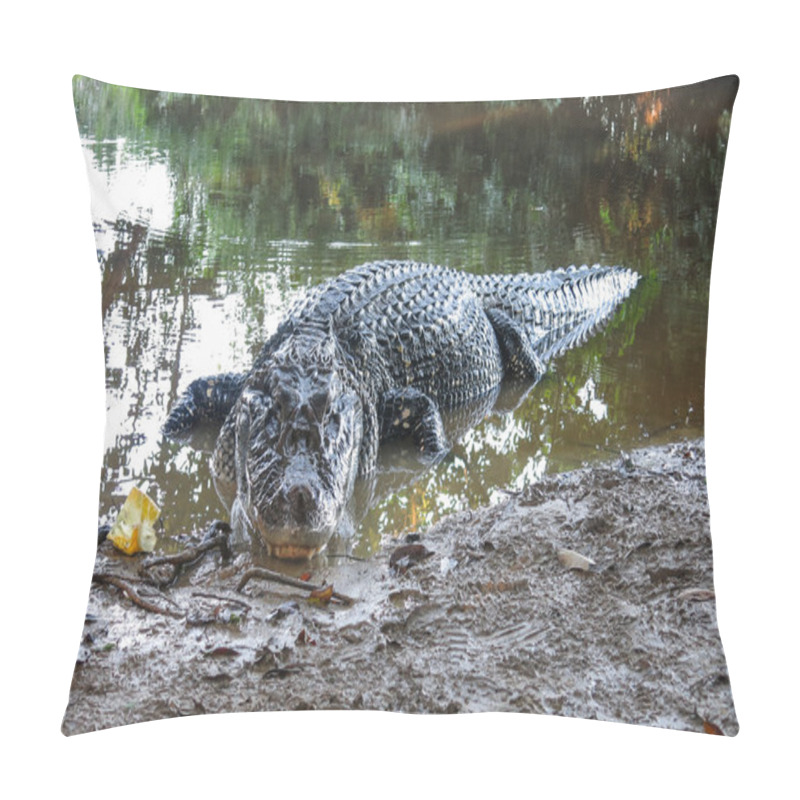 Personality  Black Caiman At Yacuma National Park, Bolivia Pillow Covers