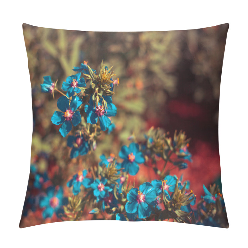 Personality  Blue Small Wild Flowers Pillow Covers