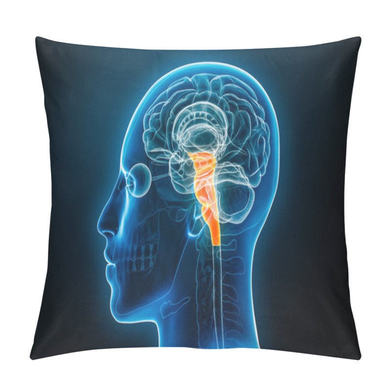 Personality  Xray Profile View Of The Brain Stem Or Brainstem With Medulla, Pons And Midbrain 3D Rendering Illustration. Human Body Anatomy, Medical, Biology, Science, Neuroscience, Neurology Concepts. Pillow Covers