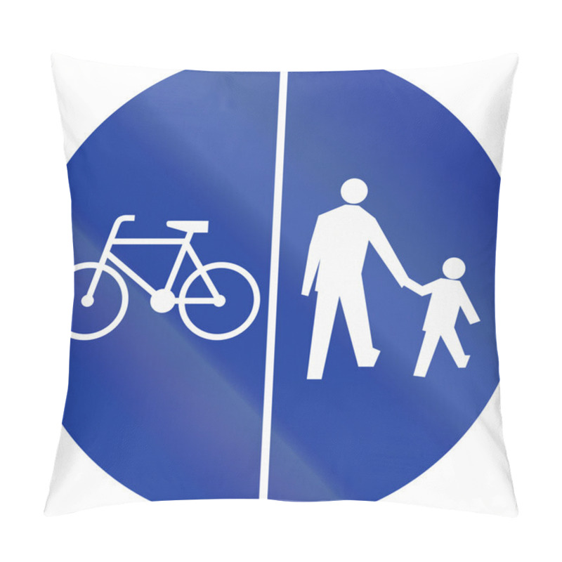 Personality  Shared Use Path With Separate Lanes In Poland Pillow Covers