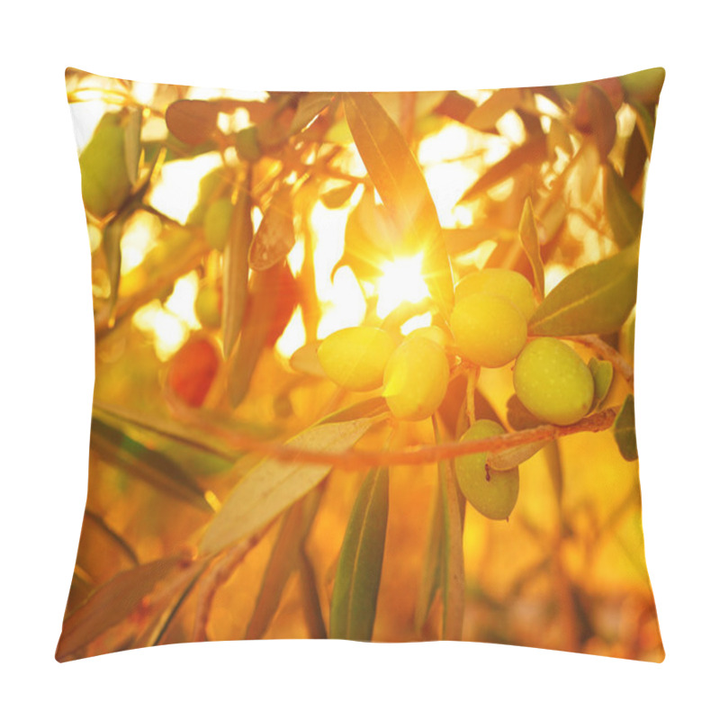 Personality  Olive Tree Background Pillow Covers