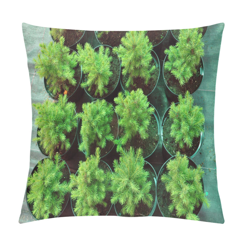 Personality  Black Pots With Seedlings Pillow Covers