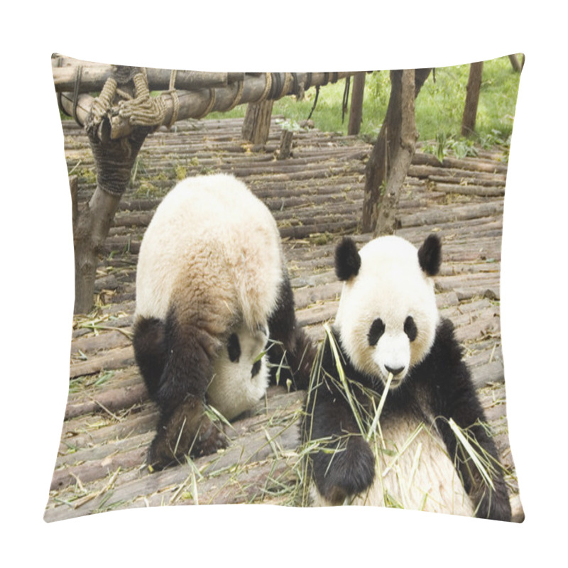 Personality  Two Panda Bears Pillow Covers