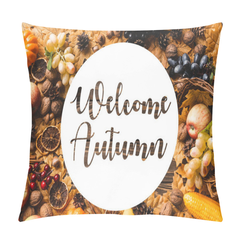 Personality  Top View Of Frame Made Of Harvest And Foliage Near Welcome Autumn Lettering On Wooden Background Pillow Covers