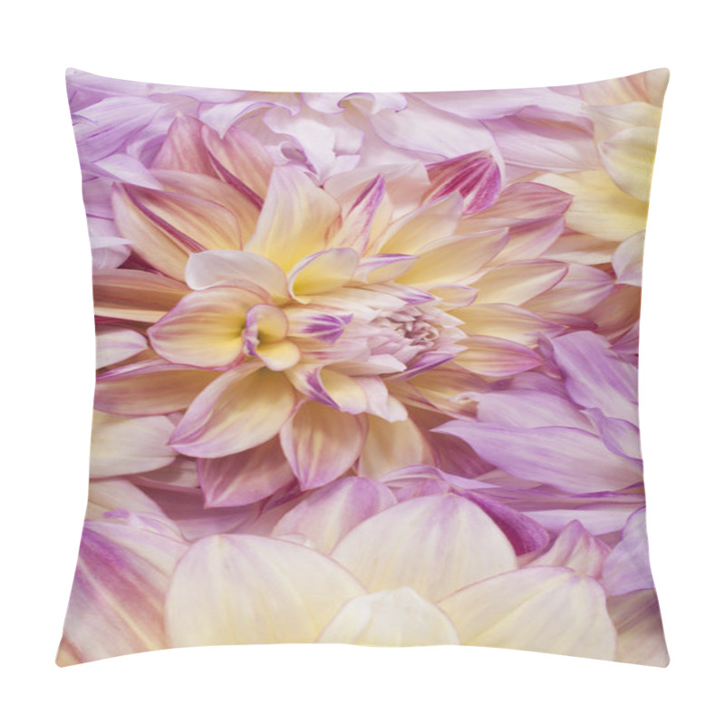 Personality  Dahlia Pillow Covers