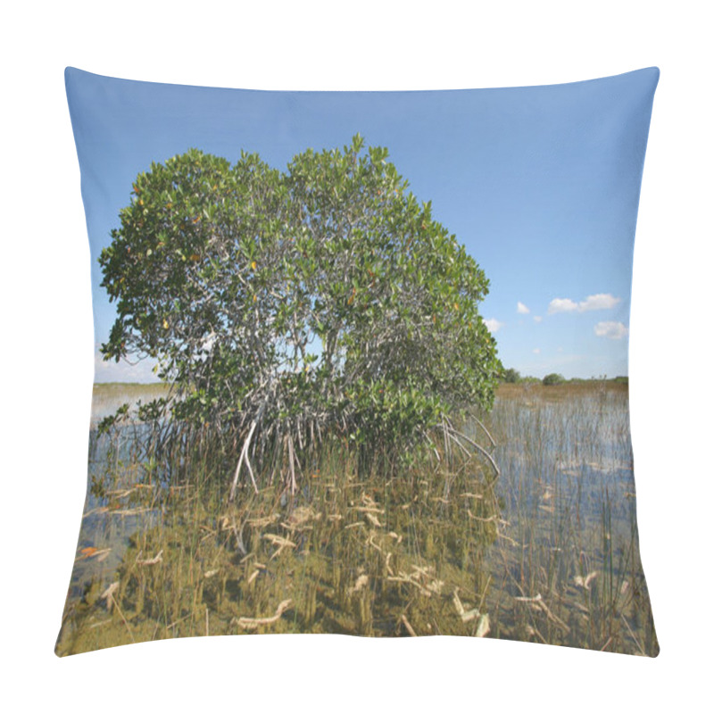 Personality  Dwarf Mangrove Trees Of Everglades National Park, Florida. Pillow Covers