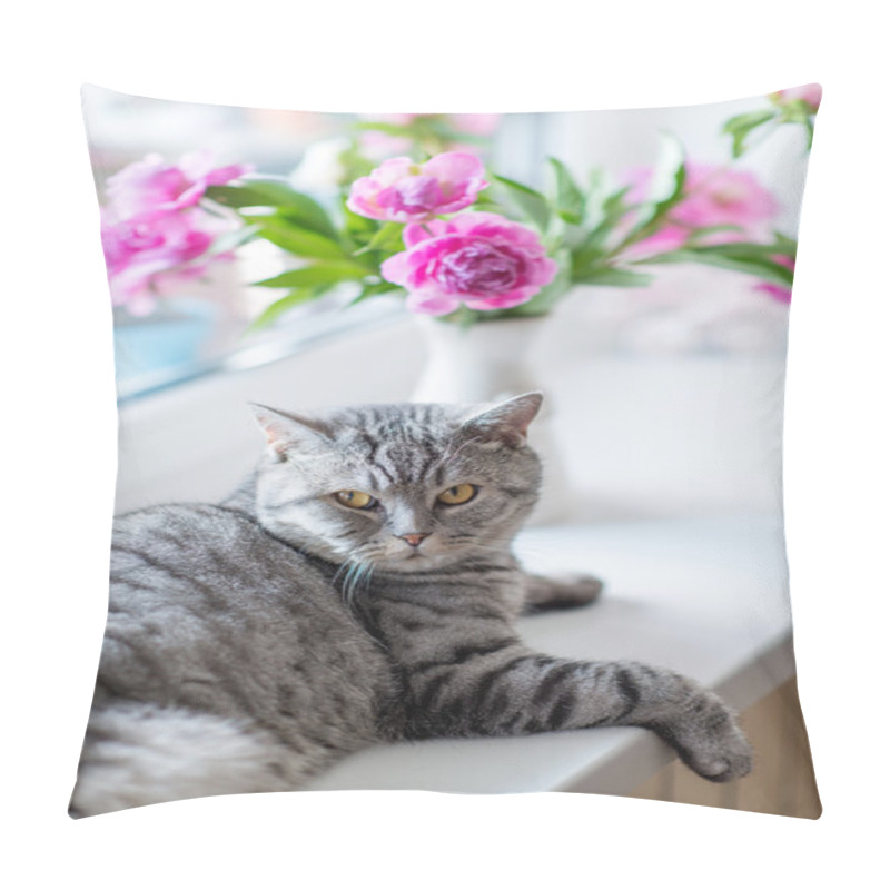 Personality  British Cat Breed Pillow Covers