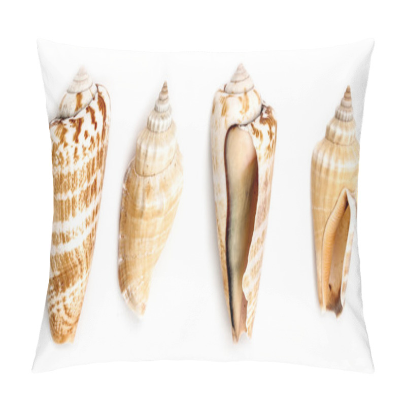 Personality  Strwberry Conch And Samar Conch Shells Pillow Covers