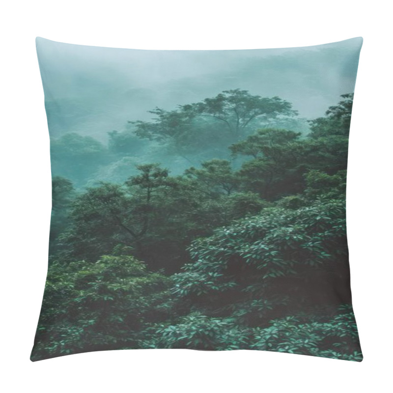 Personality  Free Download Smart Phone Nature Screensaver. 8k Quality Pillow Covers