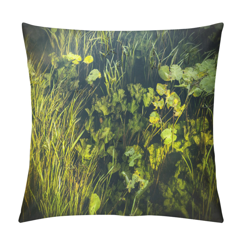 Personality  Underwater 3 Pillow Covers