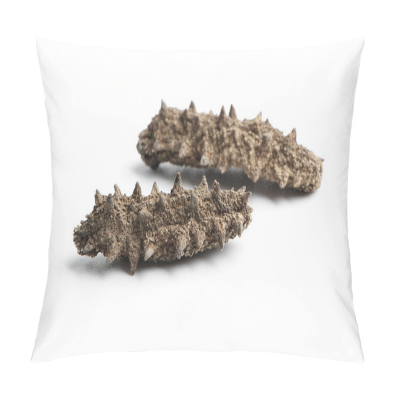 Personality  Sea Cucumber Pillow Covers