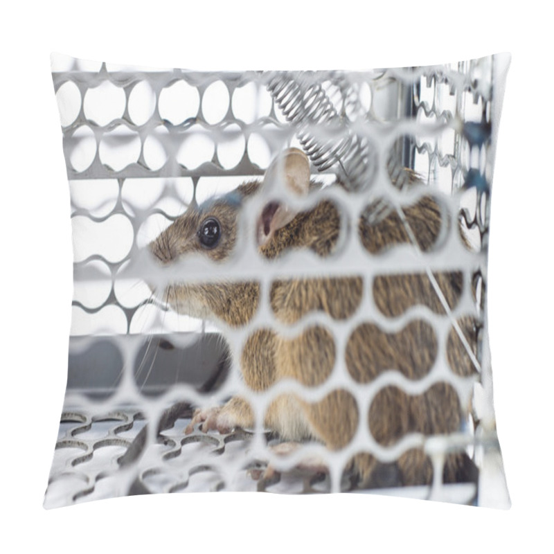 Personality  Rat In The Cage Trap  Pillow Covers