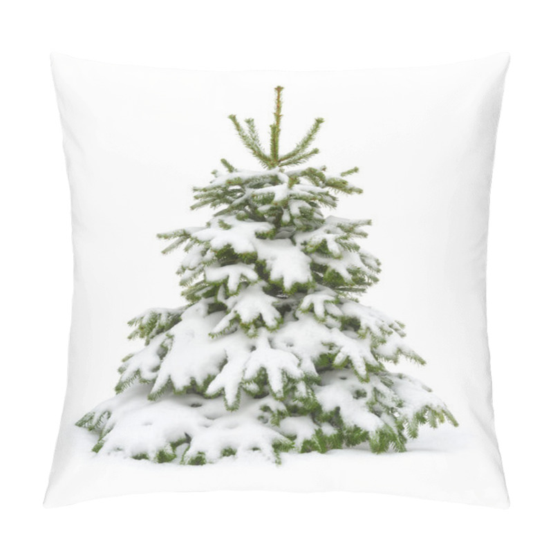 Personality  Snow-covered Fir Tree Isolated On White Pillow Covers