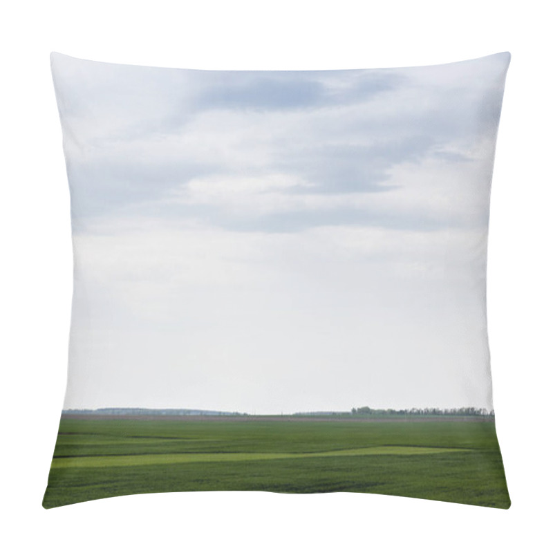 Personality  Field With Green And Fresh Grass Against Cloudy Sky  Pillow Covers