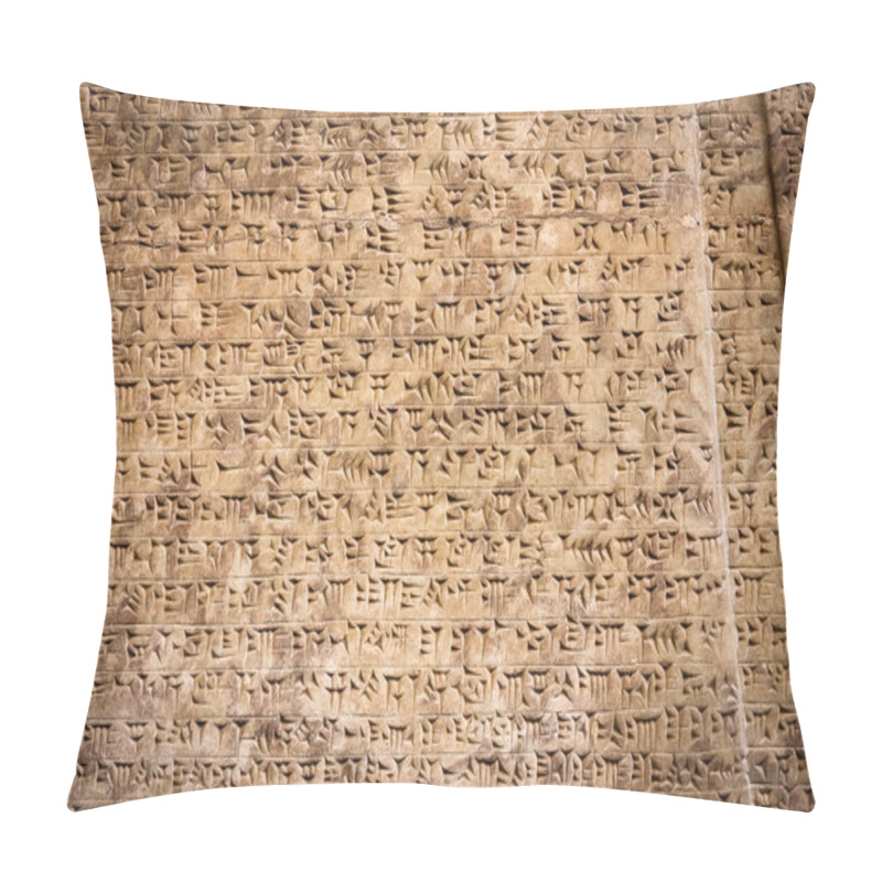 Personality  Ancient Cuneiform Writing Script On The Wall Pillow Covers