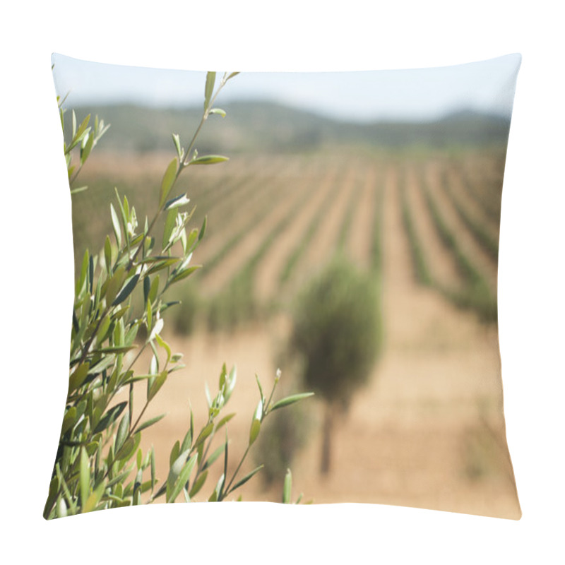 Personality  Young Olive Trees Pillow Covers