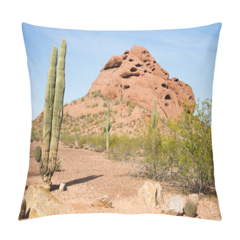 Personality  Arizona Desert Landscape Red Rocks Cactus Arid Landscape Pillow Covers