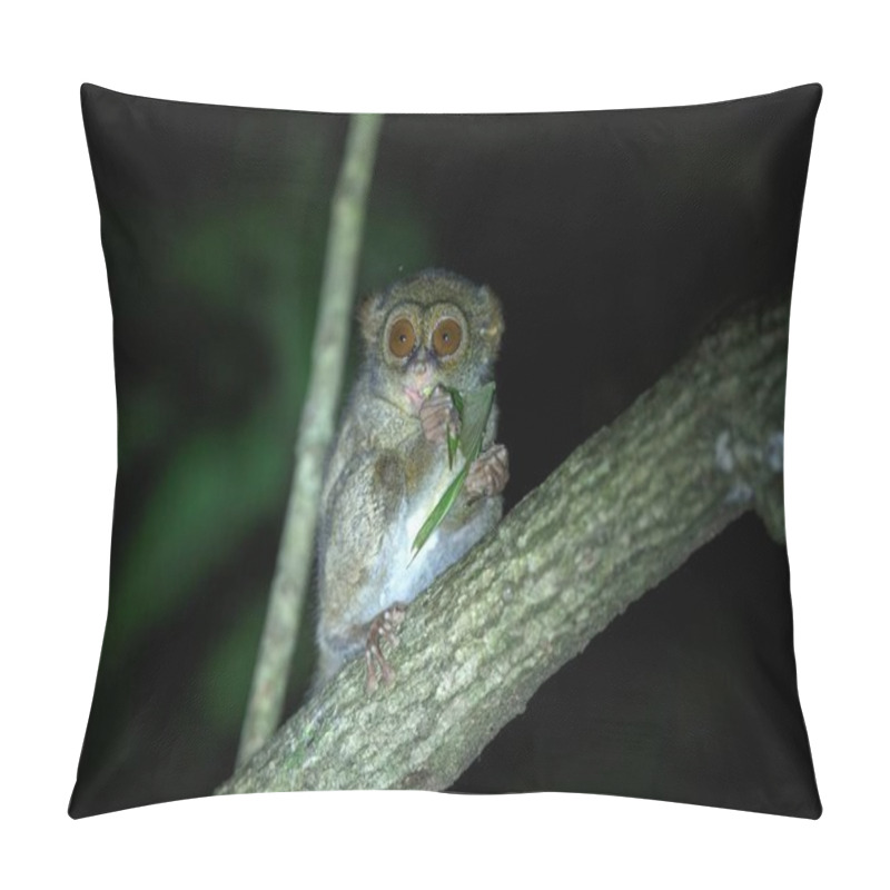 Personality  Spectral Tarsier, Tarsius Spectrum, Portrait Of Rare Endemic Nocturnal Mammal Eating Grasshopper, Small Cute Primate In Large Ficus Tree In Jungle, Tangkoko National Park, Sulawesi, Indonesia, Asia Pillow Covers