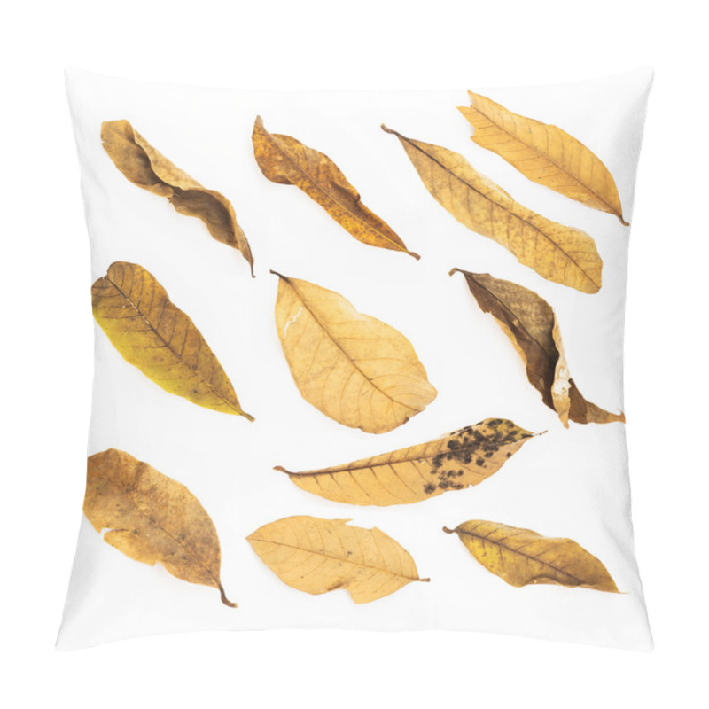 Personality  Dried Leaves Set Isolated On White Background Pillow Covers