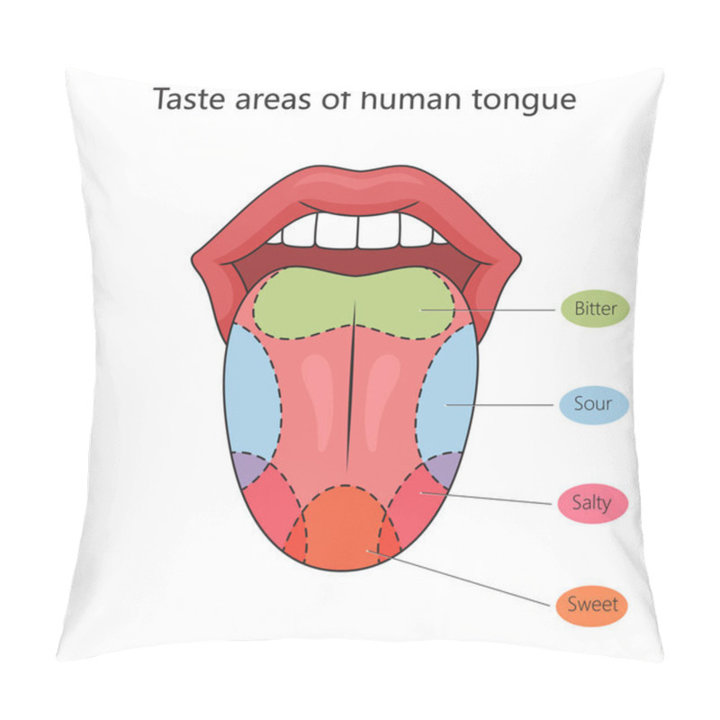 Personality  Taste Zones Of The Human Tongue Structure Diagram Schematic Raster Illustration. Medical Science Educational Illustration Pillow Covers