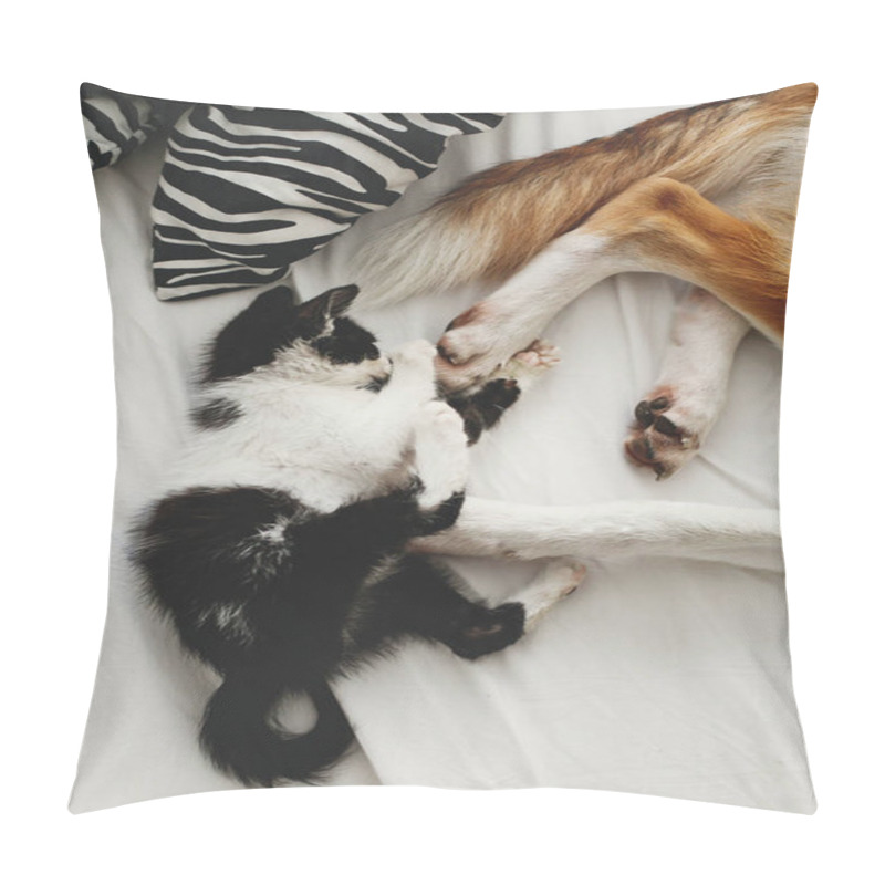 Personality  Cute Kitty And Golden Dog Playing On Bed With Pillows In Stylish Room. Adorable Black And White Kitten And Puppy With Funny Emotions Having Fun On Blanket. Cozy Home, Top View Pillow Covers