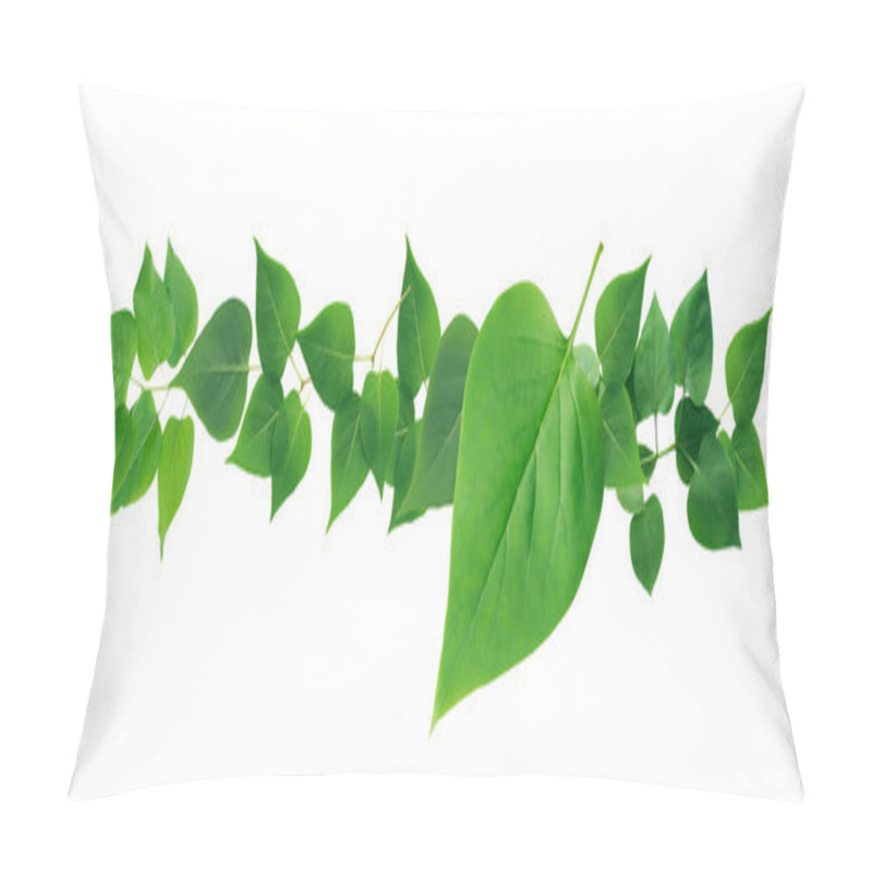 Personality  Green Leaves Border Pillow Covers