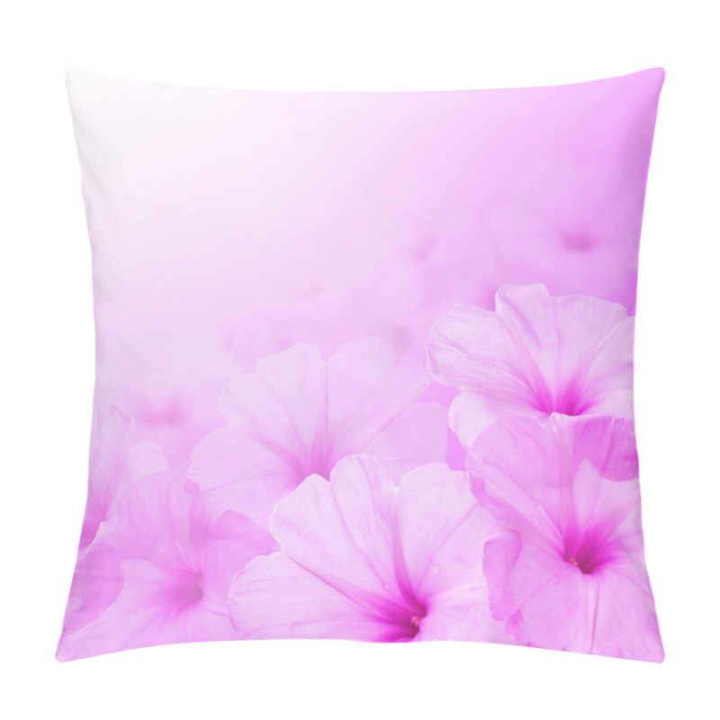 Personality  Flower Background. Morning Glory Flowers Pillow Covers