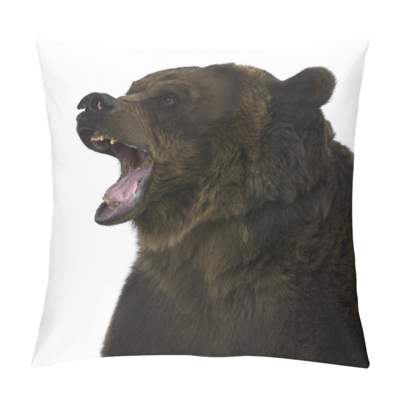 Personality  Grizzly Bear, 10 Years Old, Standing Upright Against White Background Pillow Covers