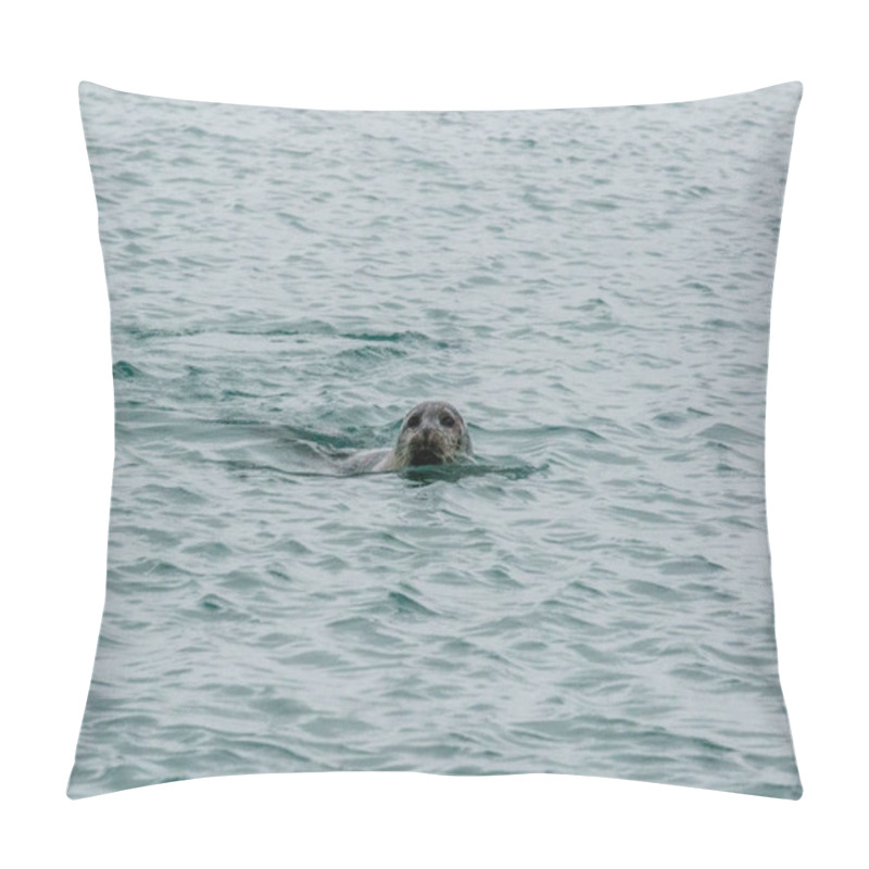 Personality  Close-up Of A Harbor Seal Swimming In The Waters Of Jokusarlon Glacier Lagoon, Southeast Iceland. Pillow Covers