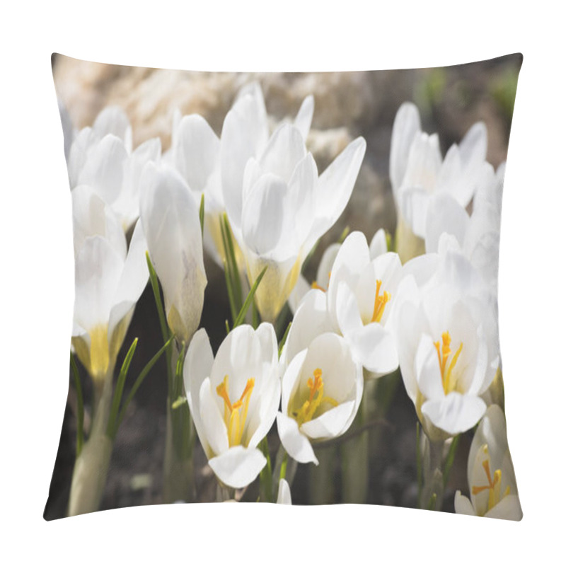 Personality  A Bee Collects Nectar On Crocus Pillow Covers