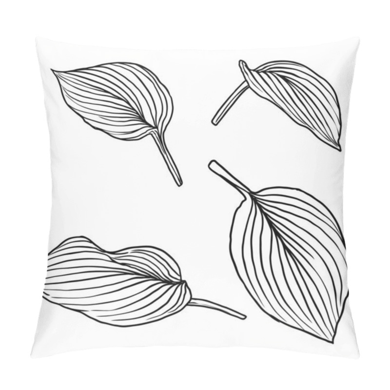 Personality  Hand Drawn Botanical Leaves Branches And Fern. Domesticated Home Floral Design Elements. Drawing Sketches For Wedding Invitations And Summer Sale Banners. Vector. Pillow Covers