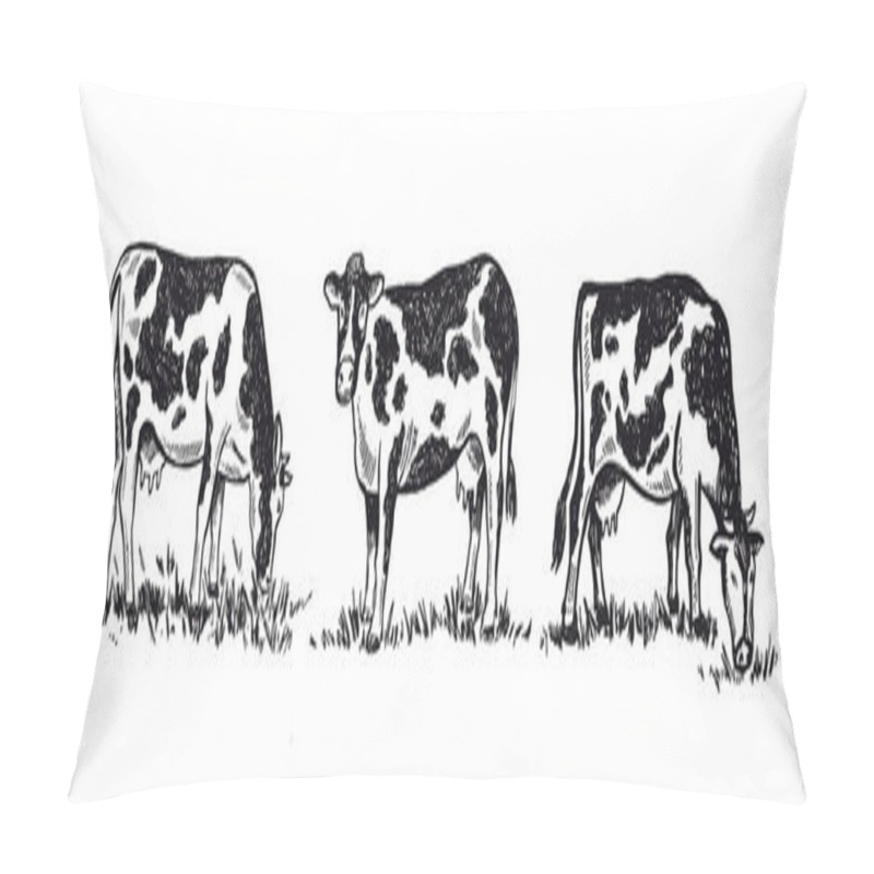 Personality  Cows Chew Grass Set, Hand Drawn Illustrations. Pillow Covers