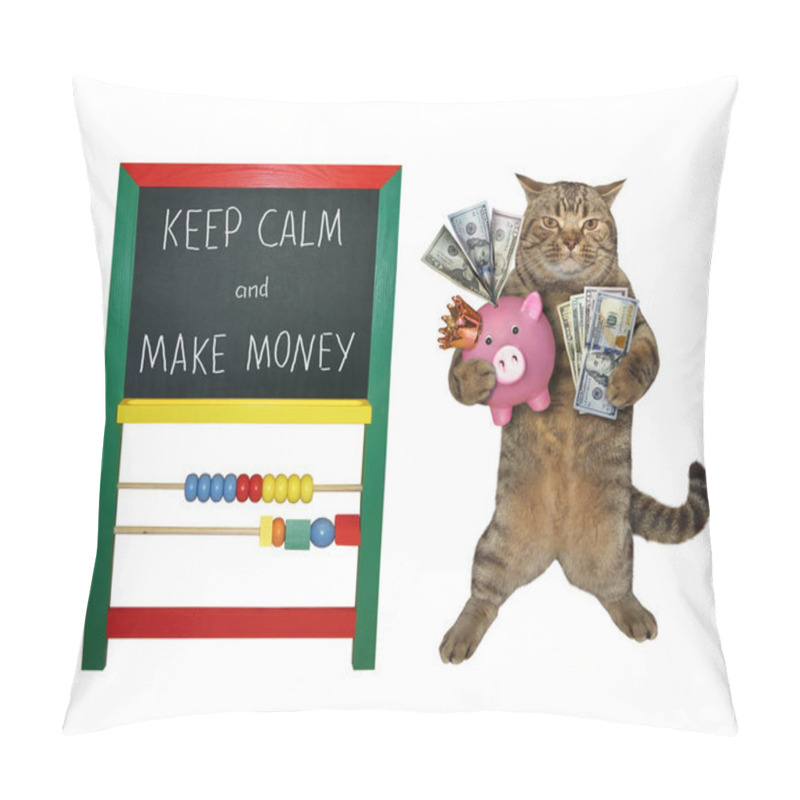 Personality  The Beige Cat Businessman Is Holding A Fan Of Dollars And A Piggy Bank Near A Blackboard With Inscription Keep Calm And Make Money. White Background. Isolated. Pillow Covers