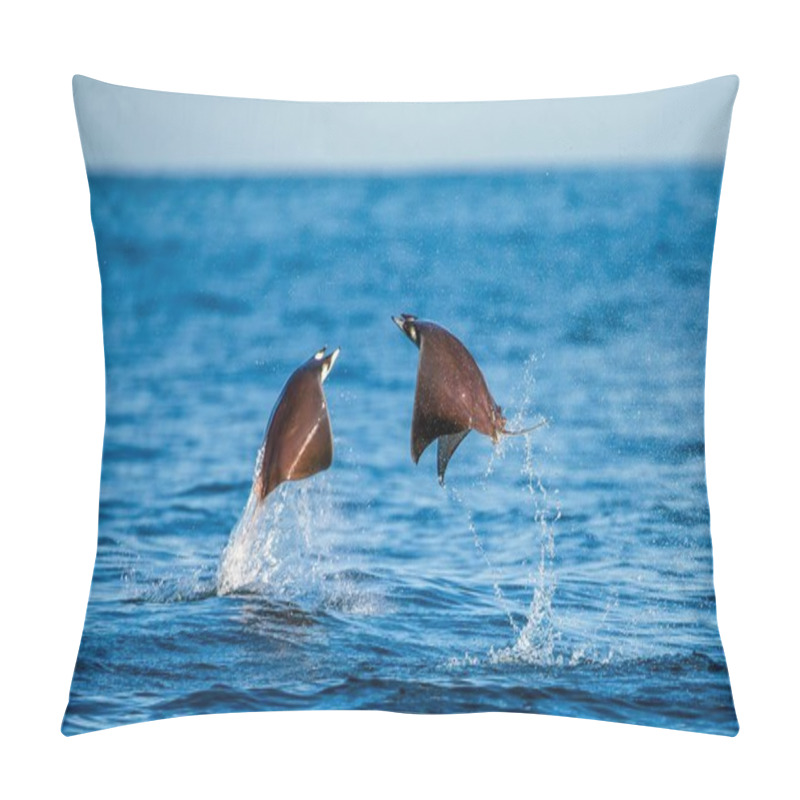 Personality  Mobula Rays Jumping Out Of Water Pillow Covers