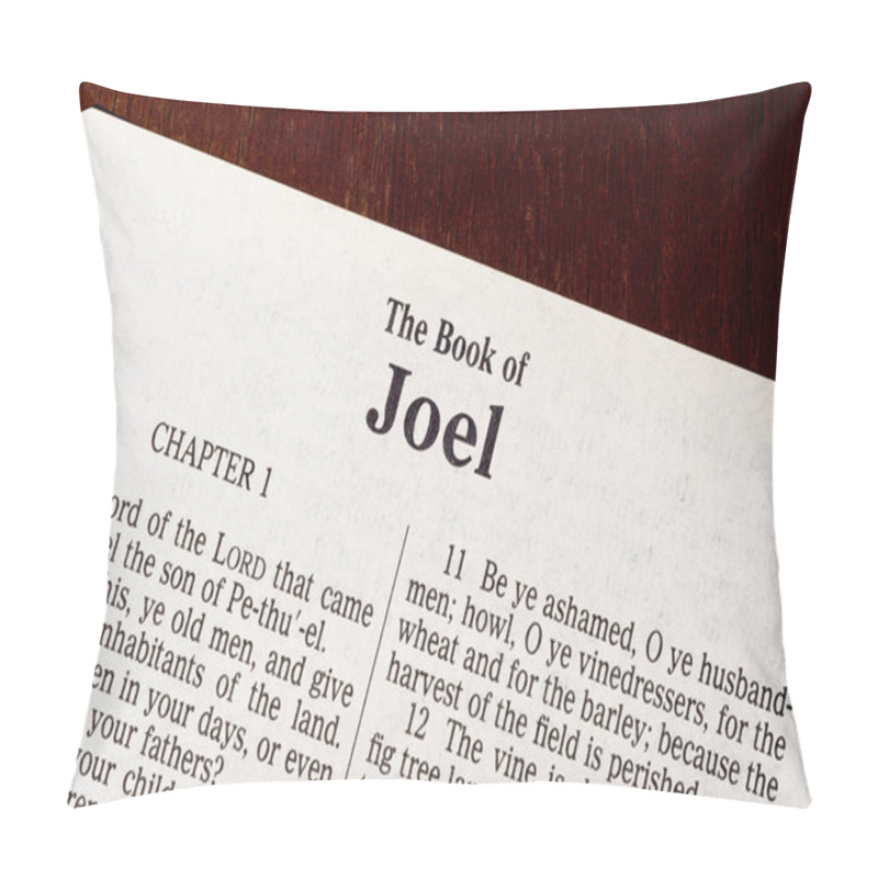 Personality  This Is The King James Bible Translated In 1611.  There Is No Copyright.  Title Page Of The Book Of Joel Pillow Covers