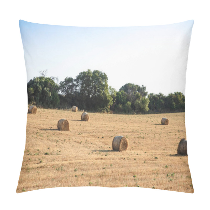 Personality  Hay Pillow Covers