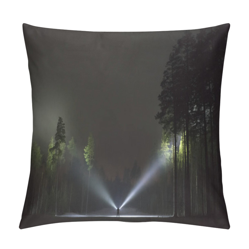 Personality  Man Standing Outdoors At Night In Tree Alley Shining With Flashlight. Beautiful Dark Snowy Winter Night. Pillow Covers