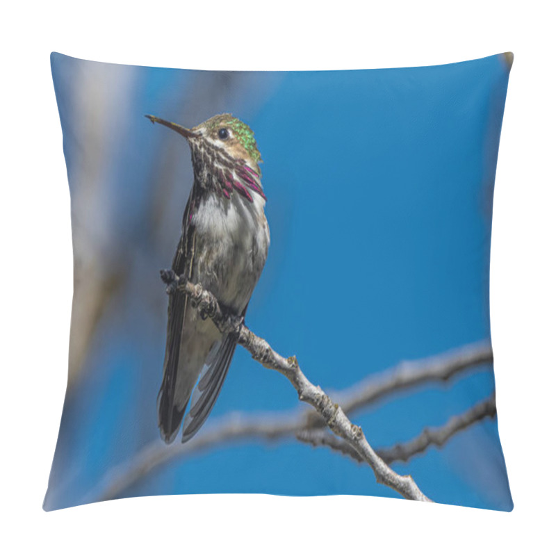 Personality  Calliope Hummingbird (Selasphorus Calliope) Perching On A Cheery Tree Pillow Covers