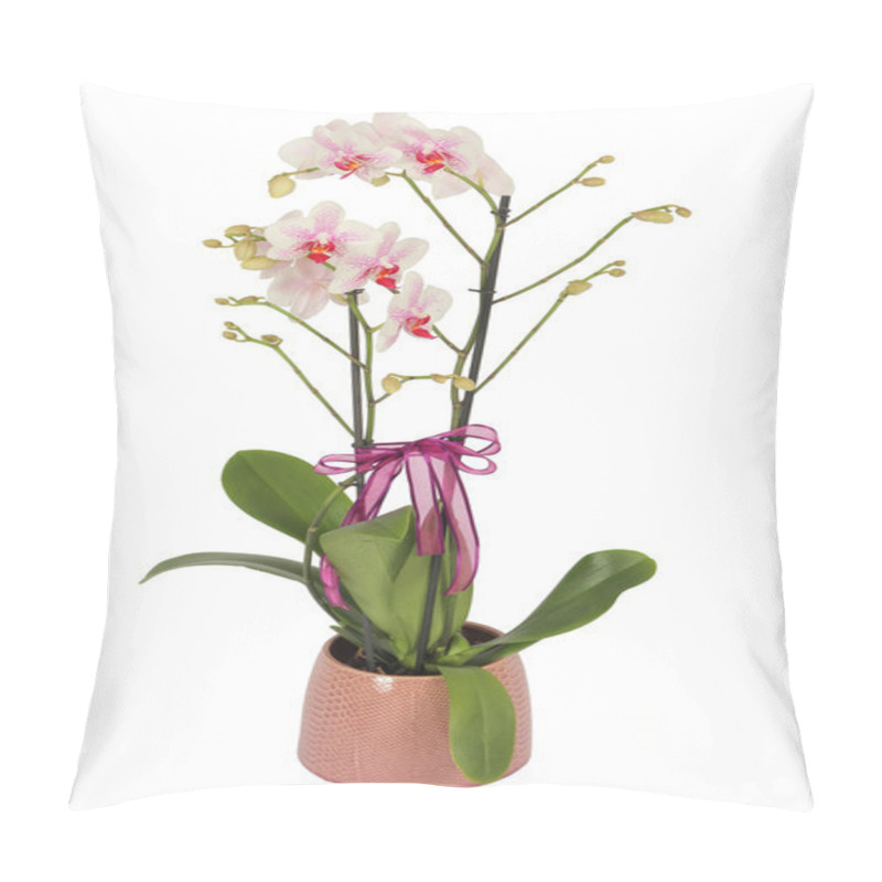 Personality  Colourfull Floral Arrangement Pillow Covers