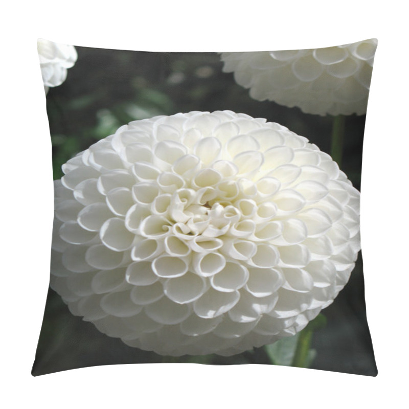 Personality  Dahlia Pillow Covers