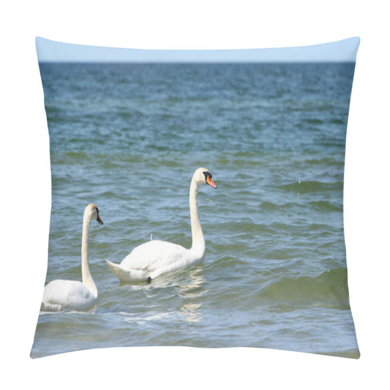 Personality  Sandy Beach With Grassy Dunes, Summer Landscape On The Baltic Sea, Poland Pillow Covers