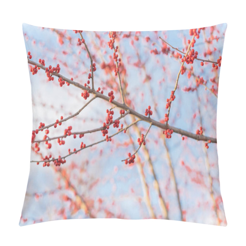 Personality  Close-up Branch Of Ilex Decidua Winterberry Red Fruits On Dormant Tree Near Dallas, Texas Pillow Covers