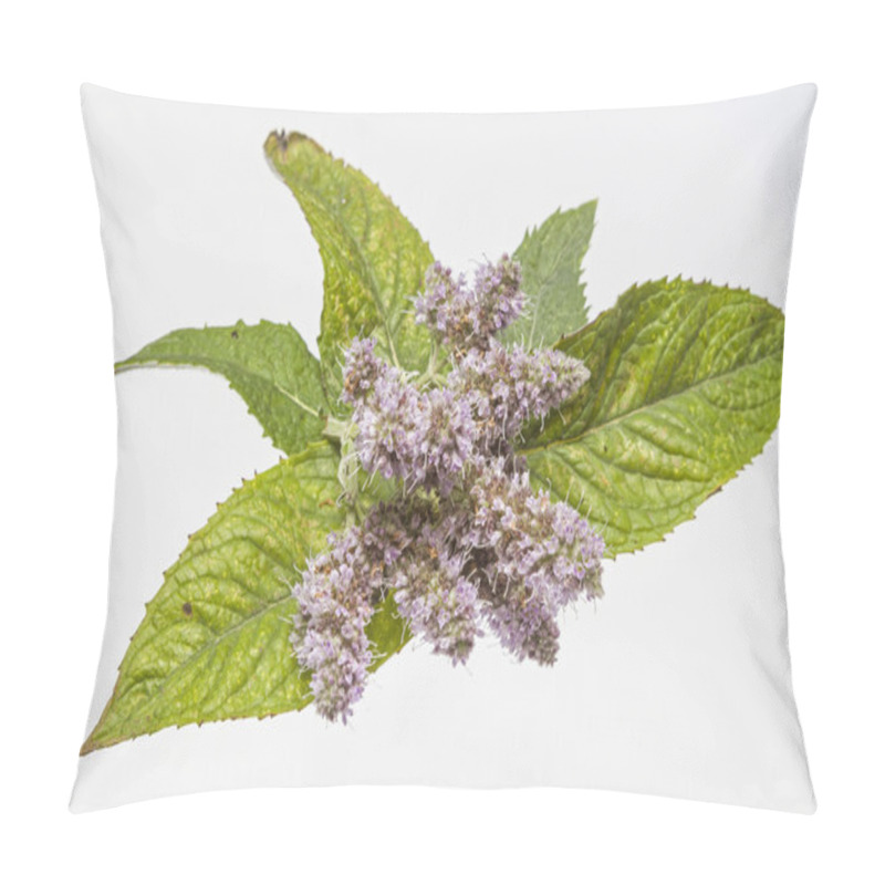 Personality  Blossoming Peppermint Branch Pillow Covers