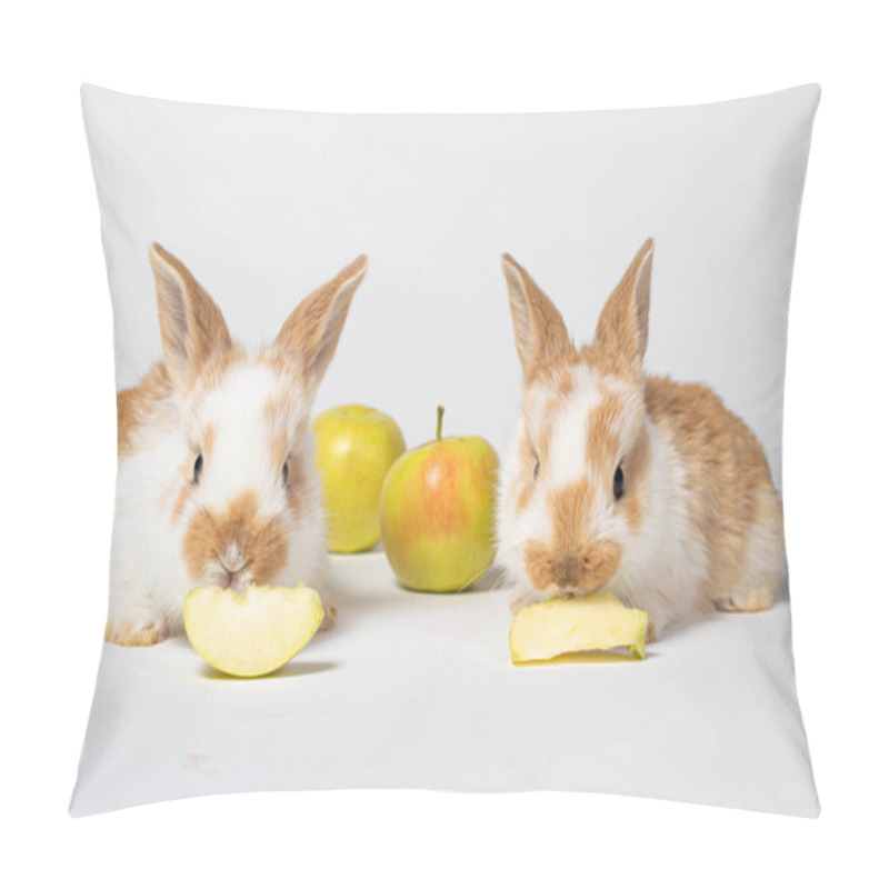 Personality  Two Little Red Fluffy Rabbits Are Eating Yellow Apples On A White Background. Pet Rabbit Food, Photo With Copy Space For Pet Shop And Veterinary Clinic. Pillow Covers