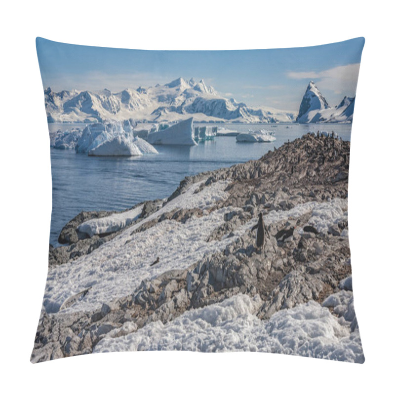 Personality  Gentoo Penguin Colony Near Cuverville Island In The Errera Channel Of The West Coast Of The Antarctic Peninsula In Antarctica. Pillow Covers