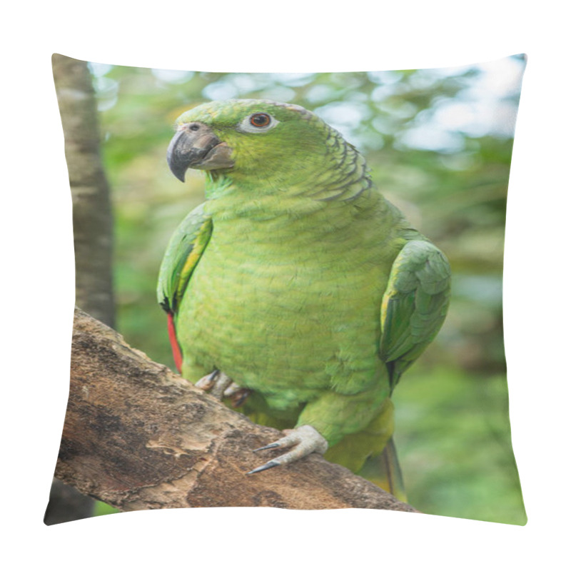 Personality  Green Amazon Parrot Sitting On A Branch With A Forest Background Pillow Covers