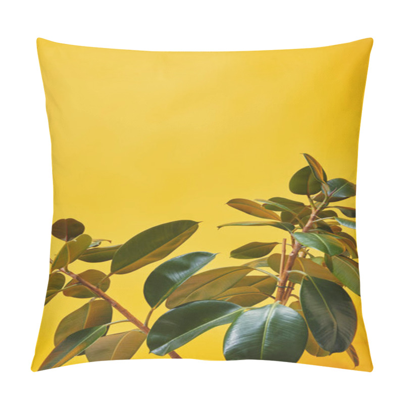 Personality  Close Up Of Ficus Leaves On Yellow Background Pillow Covers