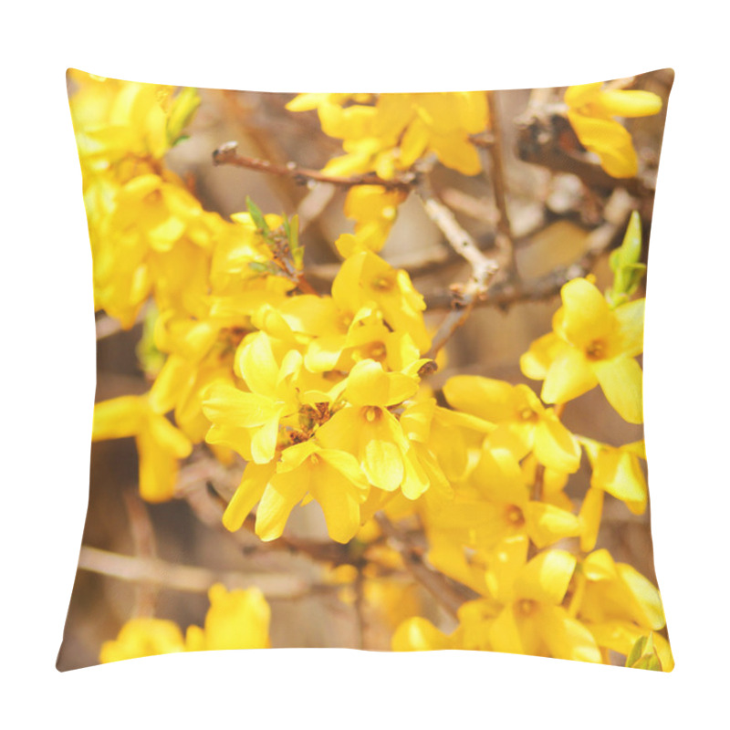 Personality  Yellow Flowers. Beautiful Forsythia Bush Bloom In Springtime Pillow Covers