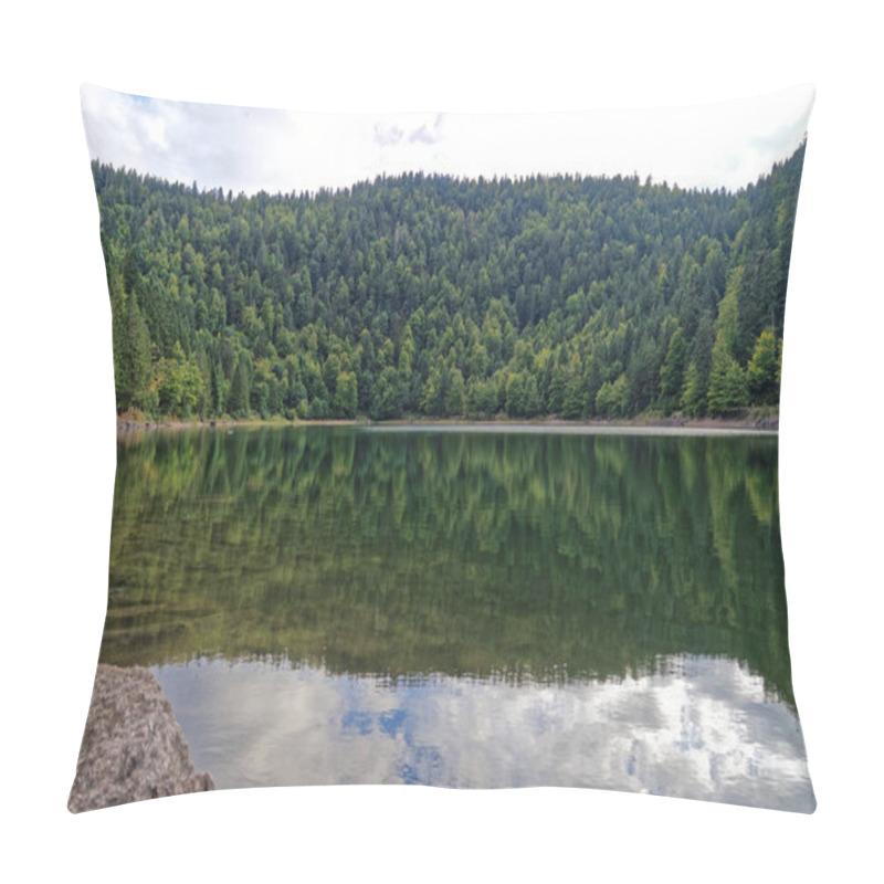 Personality  Mountain Lake Surrounded By Trees, Vosges, France Pillow Covers